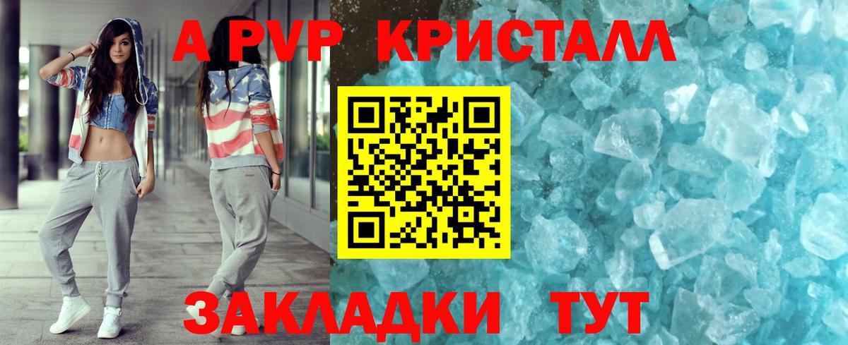 Альфа ПВП СК Ярославль