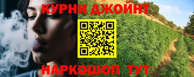 дживик Моздок