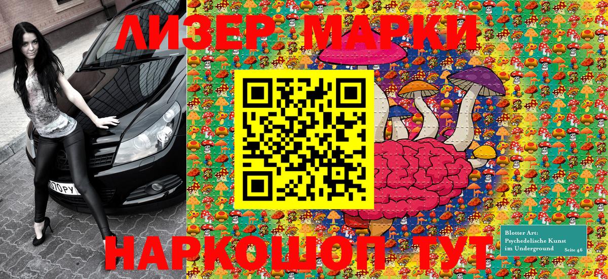 Наркотические марки 1,5мг  Наркотические марки 1,5мг  Ярославль  Марки N-bome  Вход с VPN 
