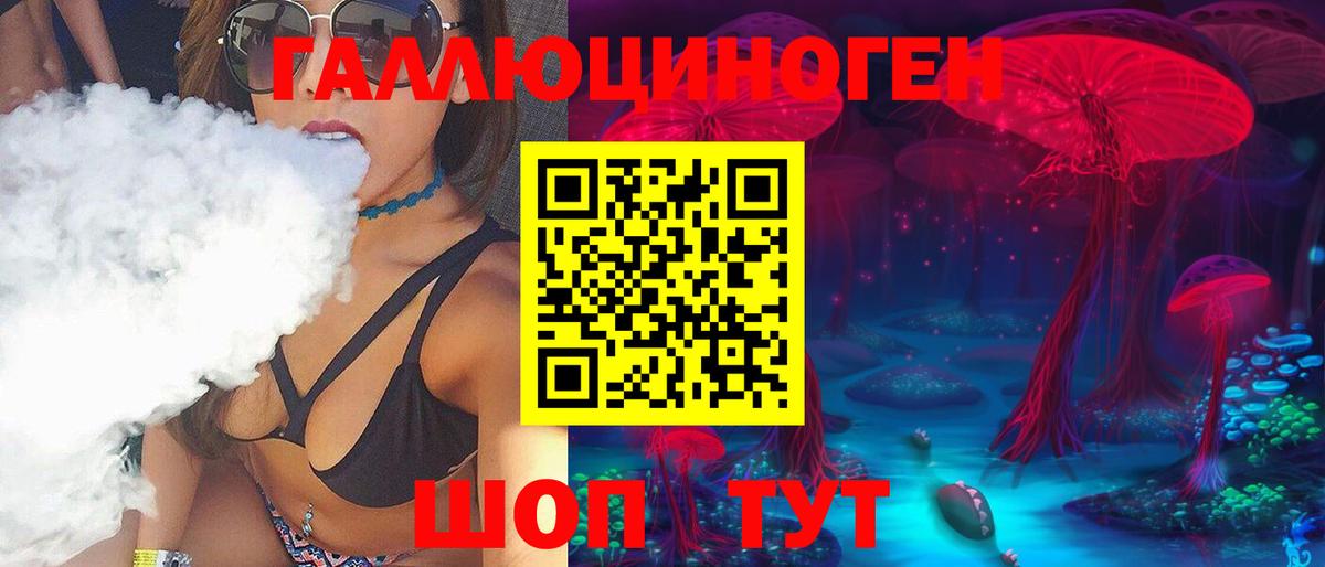 Псилоцибиновые грибы Psilocybe Ярославль