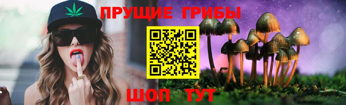 Псилоцибиновые грибы Psilocybe  Вход с VPN  купить наркотики сайты  Ярославль 